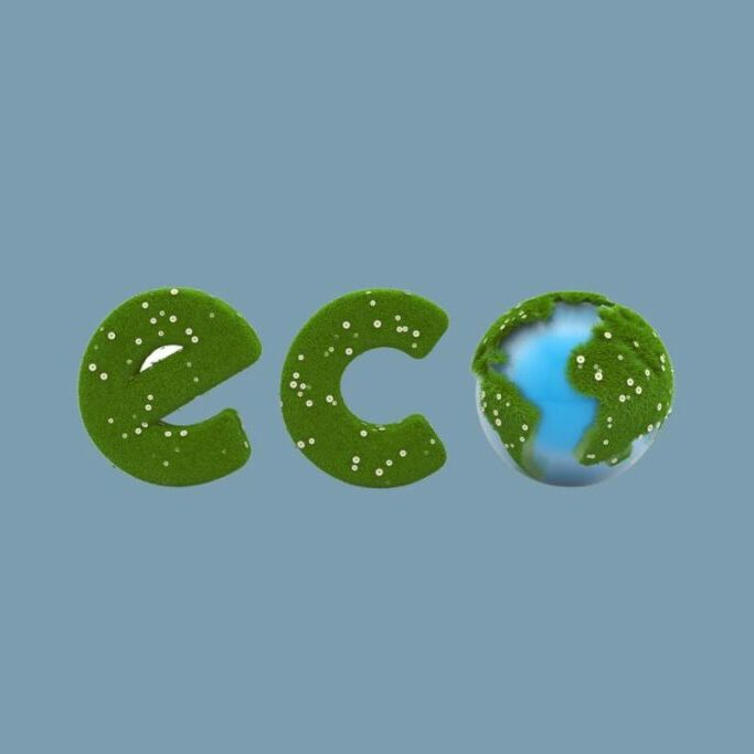 zane-site-foto-eco-iee